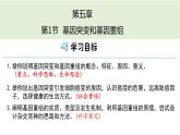 5.1基因突变和基因重组  课件【新教材】2020-2021学年高一生物人教版（2019）必修二