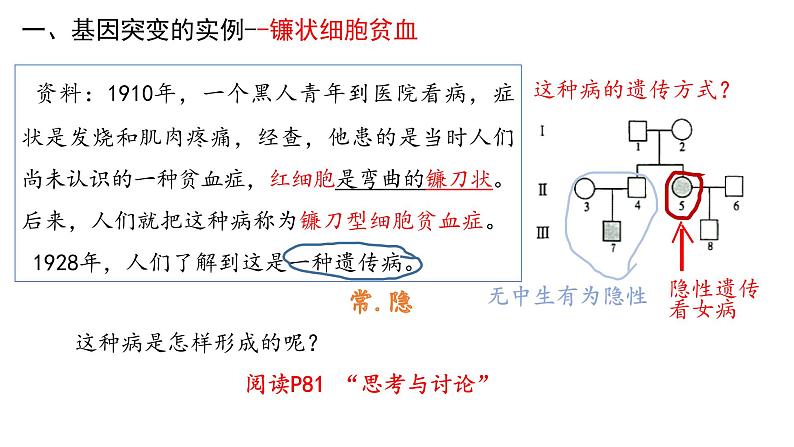 5.1基因突变和基因重组  课件【新教材】2020-2021学年高一生物人教版（2019）必修二第4页