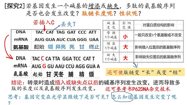 5.1基因突变和基因重组  课件【新教材】2020-2021学年高一生物人教版（2019）必修二第7页