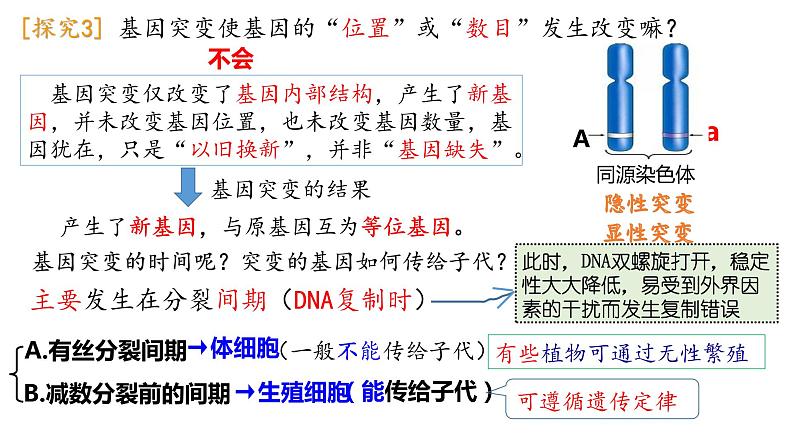 5.1基因突变和基因重组  课件【新教材】2020-2021学年高一生物人教版（2019）必修二第8页