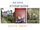 6.2 自然选择与适应的形成  课件【新教材】2020-2021学年高一生物人教版（2019）必修二