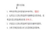6.2 自然选择与适应的形成  课件【新教材】2020-2021学年高一生物人教版（2019）必修二