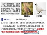 6.2 自然选择与适应的形成  课件【新教材】2020-2021学年高一生物人教版（2019）必修二