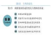 6.3种群基因组成的变化与物种的形成  课件【新教材】2020-2021学年高一生物人教版（2019）必修二