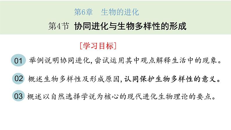 6.4 协同进化与生物多样性的形成 课件【新教材】2020-2021学年高一生物人教版（2019）必修二02