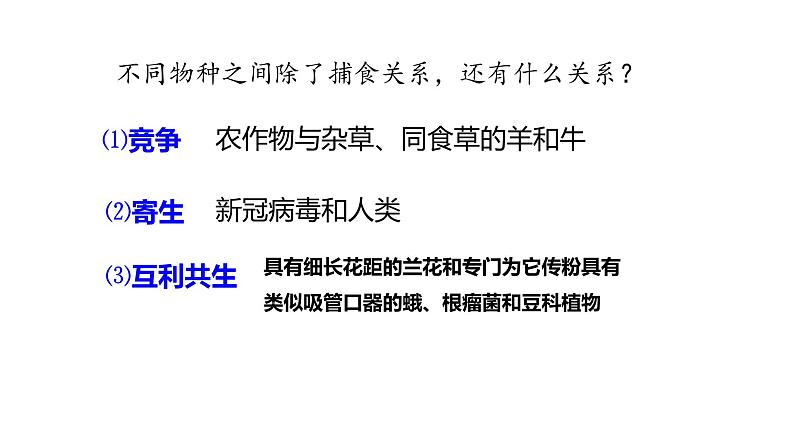 6.4 协同进化与生物多样性的形成 课件【新教材】2020-2021学年高一生物人教版（2019）必修二07