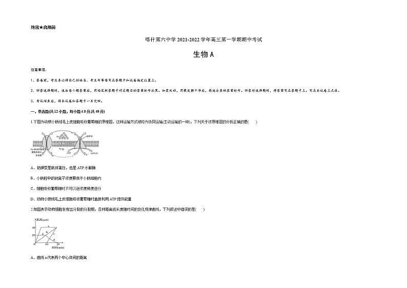2022维吾尔自治区喀什六中高三上学期期中模拟生物试题（A卷）含答案01