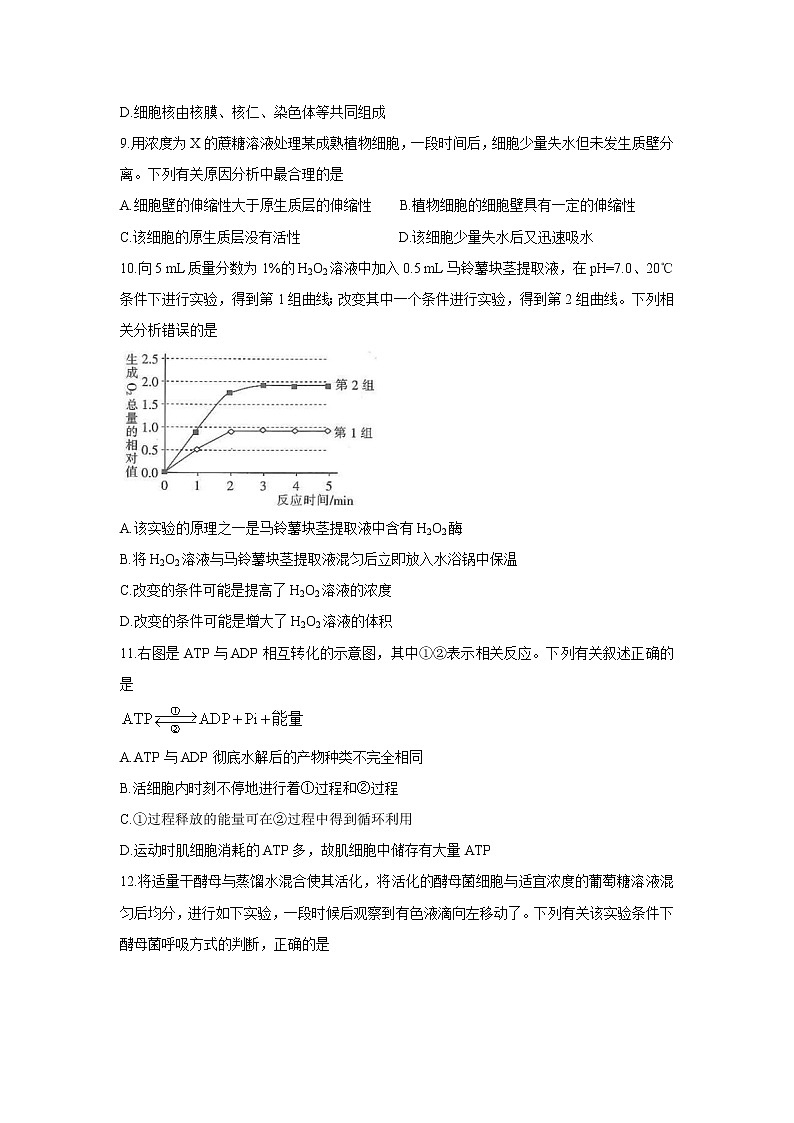 2022京山、安陆等百校联考高三上学期10月月考生物含答案第3页