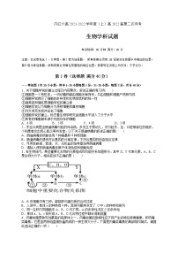 2022内江六中高三上学期第二次月考生物试题含答案