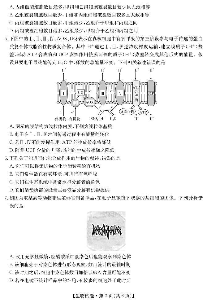 2022湖南省三湘名校、五市十校教研教改共同体高三上学期第一次大联考试题生物PDF版含解析02