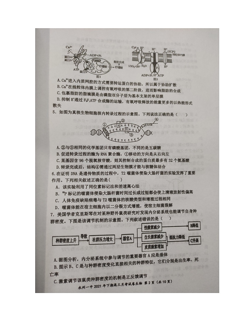 湖南省永州市第一中学2021-2022学年高三上学期第二次月考生物试题第2页