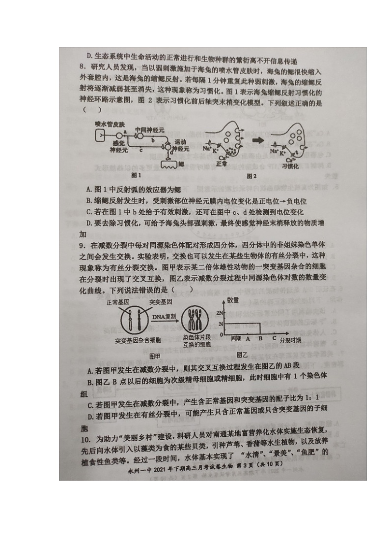 湖南省永州市第一中学2021-2022学年高三上学期第二次月考生物试题第3页