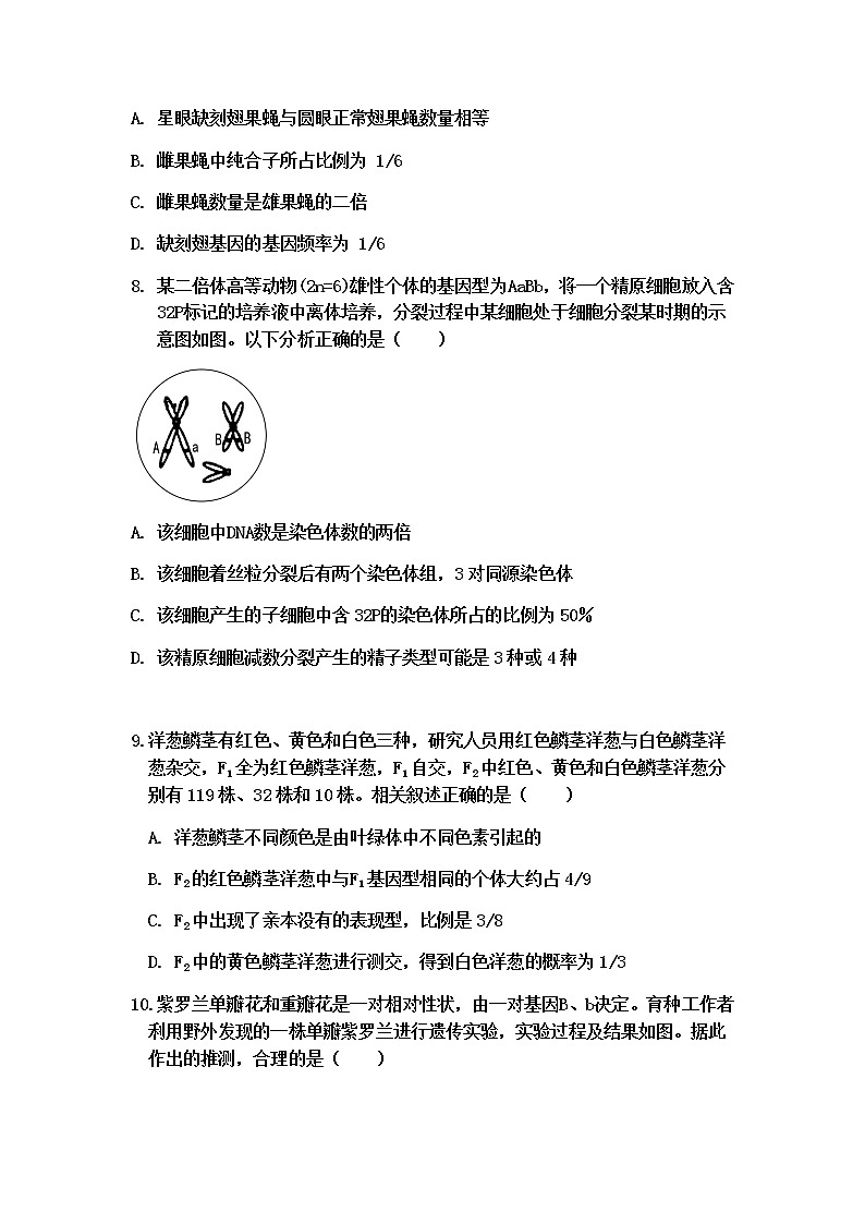 2022鱼台县一中高三上学期第一次月考生物试题含答案03