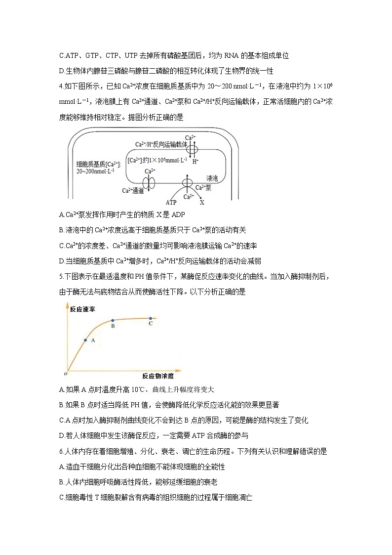 2022潍坊安丘等三县高三上学期10月过程性测试生物含答案第2页