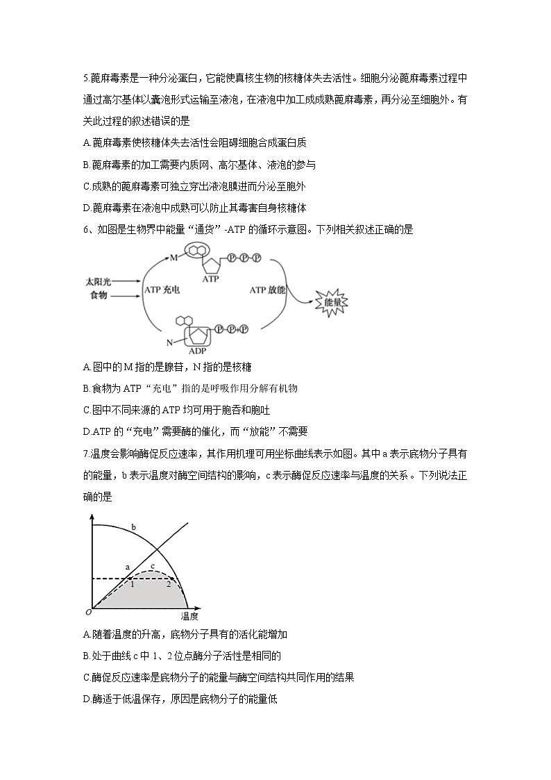 2022山东省“山东学情”高三上学期10月联合考试试题生物B含答案02