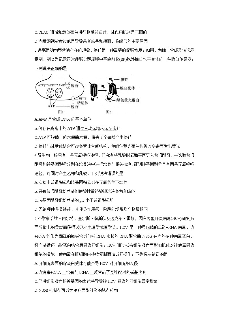 2022青岛高三上学期期初学习质量调研检测生物含答案02