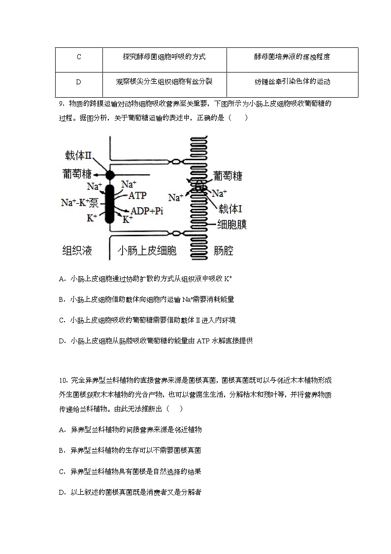 2022莆田莆田二中高三上学期10月月考生物试题含答案第3页