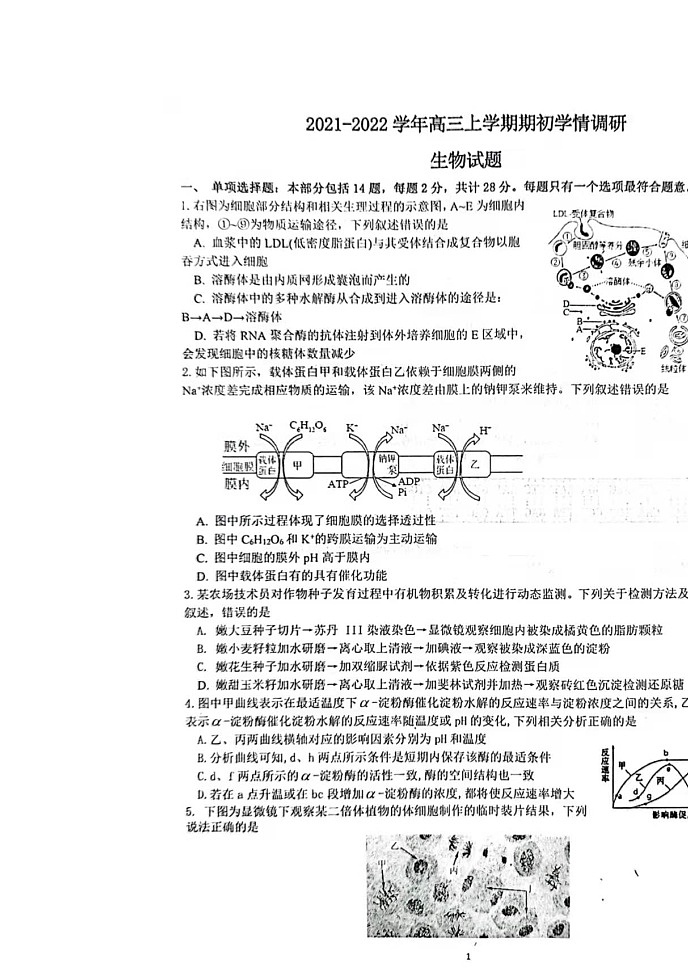 2022高邮高三上学期期10月初学情调研生物试题扫描版含答案第1页