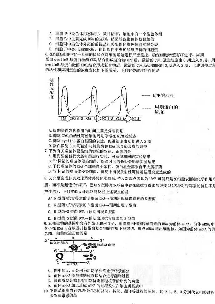 2022高邮高三上学期期10月初学情调研生物试题扫描版含答案第2页