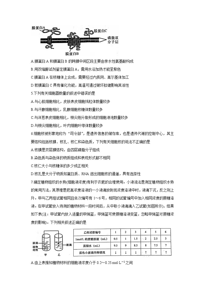 2022咸阳武功县高三上学期第一次质量检测生物含答案第2页