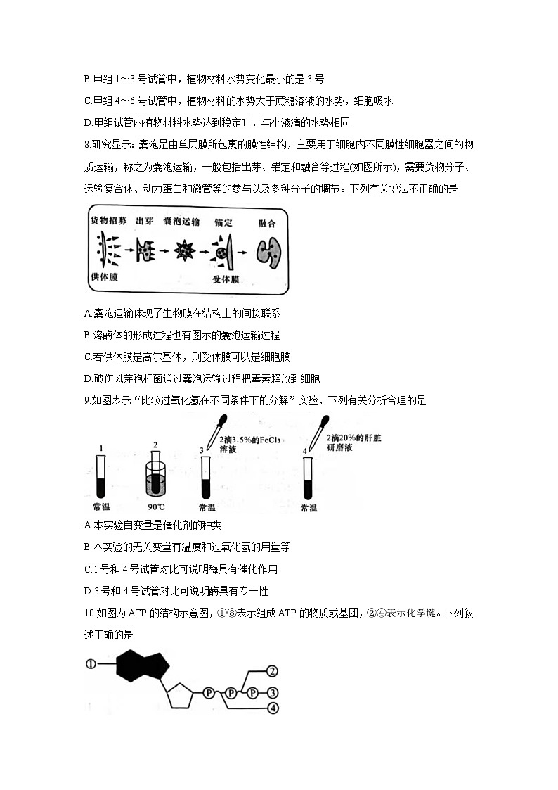 2022咸阳武功县高三上学期第一次质量检测生物含答案第3页
