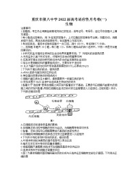 2022重庆市八中高三上学期9月高考适应性月考卷（一）生物试题含答案