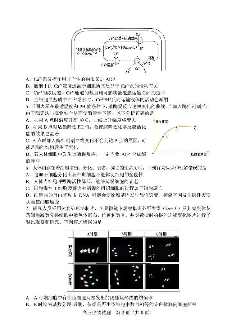 山东省潍坊安丘市等三县2021-2022学年高三10月过程性测试生物试题第2页