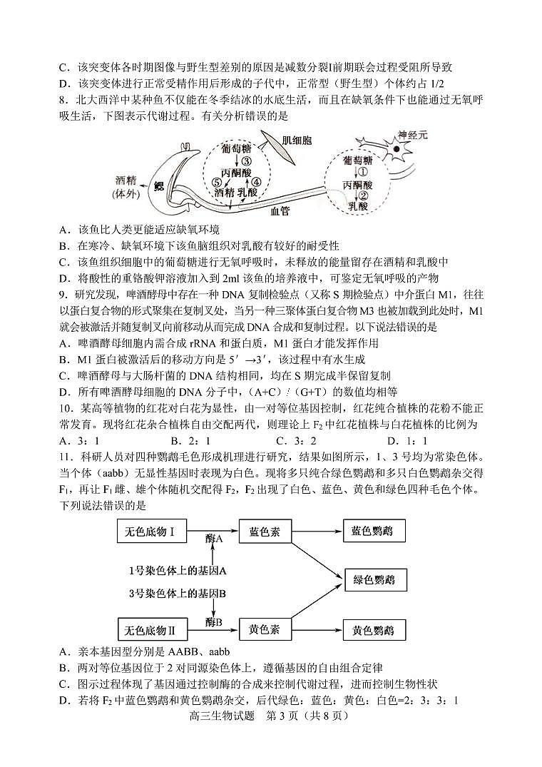 山东省潍坊安丘市等三县2021-2022学年高三10月过程性测试生物试题第3页