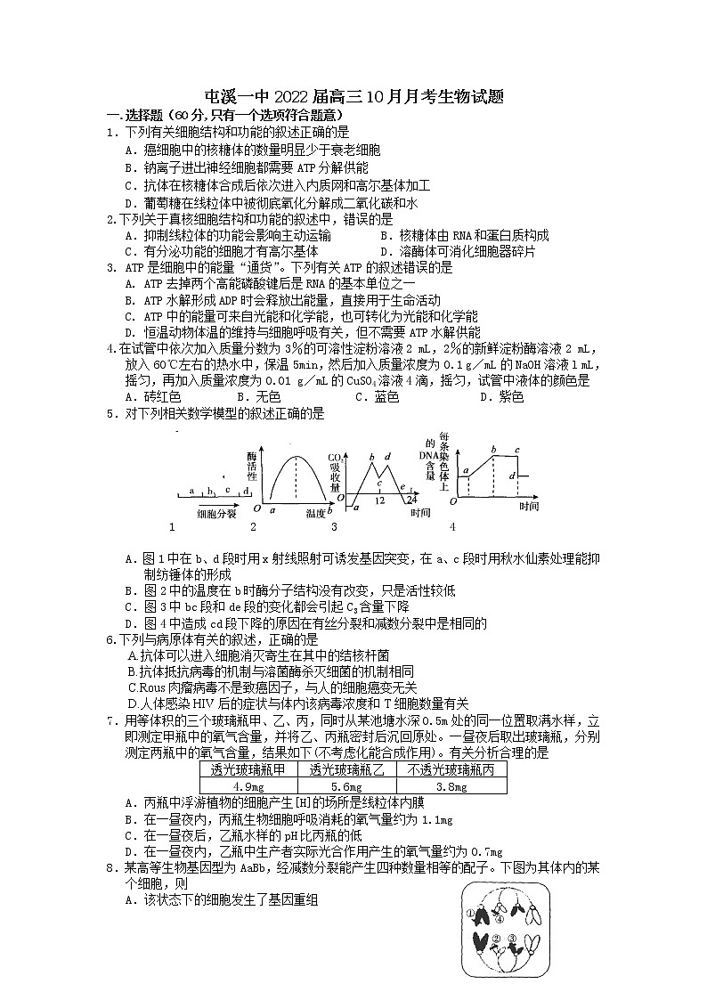 2022黄山屯溪一中高三10月月考生物试题含答案第1页