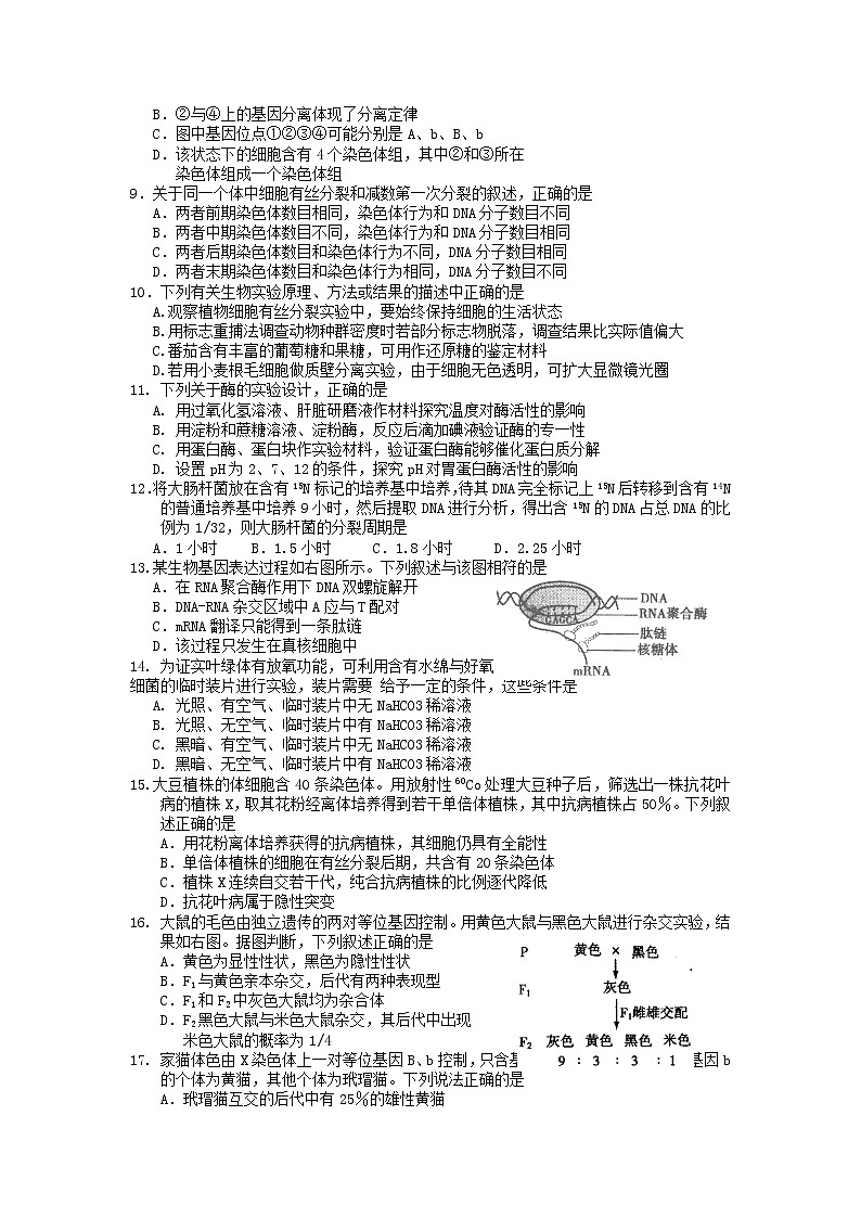 2022黄山屯溪一中高三10月月考生物试题含答案第2页