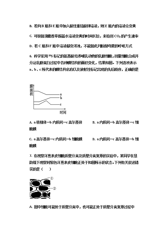2022衡水武强中学高三上学期第一次月考生物试题含答案第3页
