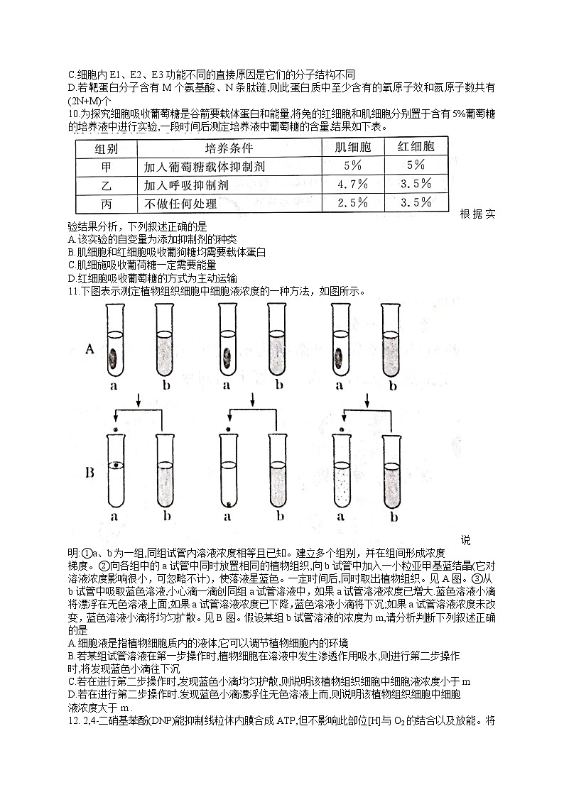 2022黄冈高三上学期9月调研考试生物试题含答案第3页