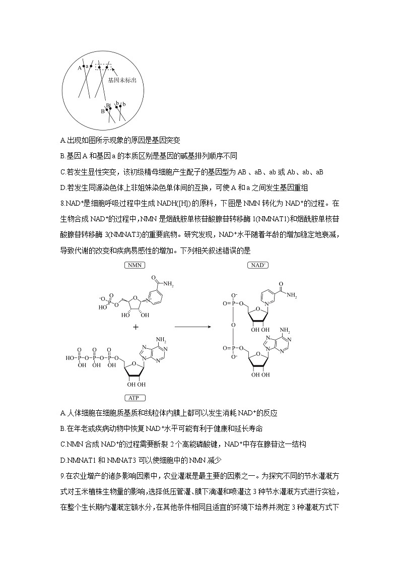 2022河北省神州智达省级联测高三上学期第二次考试生物含答案03