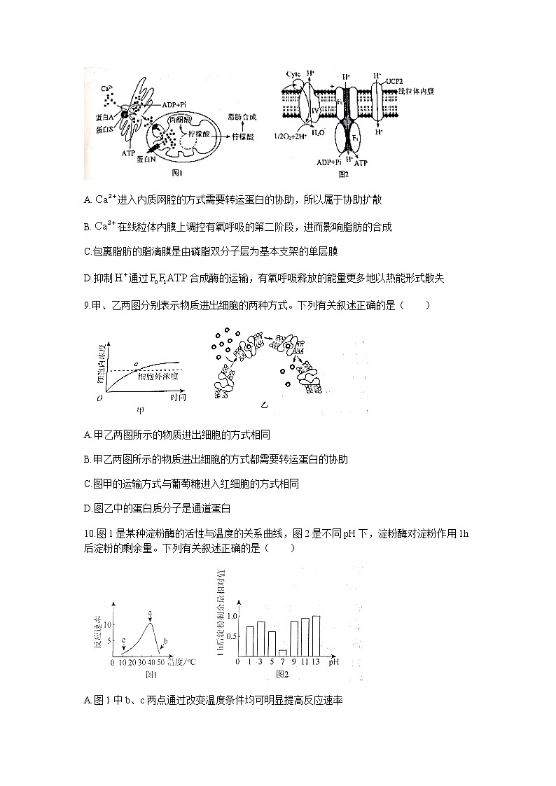 2022辽宁省名校联盟高三上学期9月联合考试生物试题含答案第3页