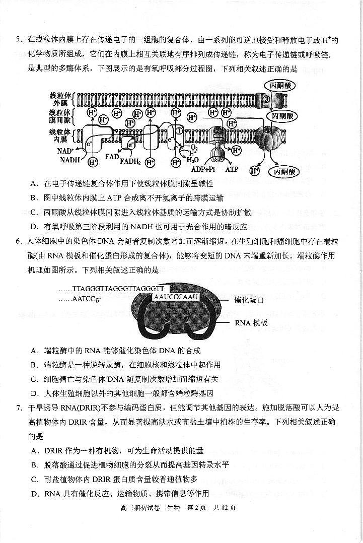 2022苏州相城区陆慕高级中学高三上学期期初调研生物试题扫描版含答案02