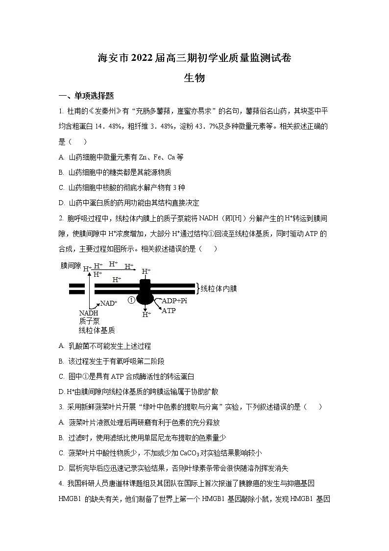 2022江苏省海安市高三上学期期初学业质量监测生物试题含答案第1页
