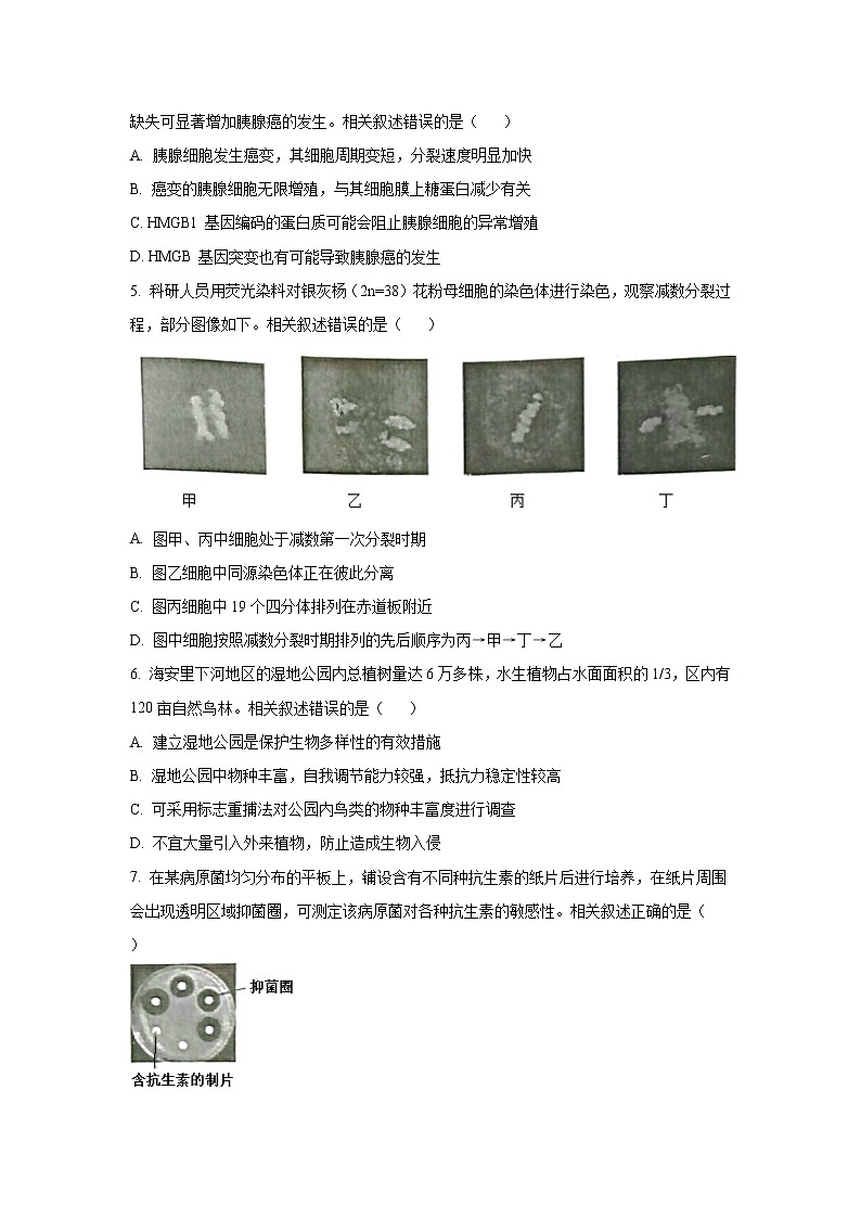 2022江苏省海安市高三上学期期初学业质量监测生物试题含答案第2页