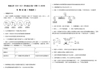 2021张家口一中高三上学期10月月考生物试题（衔接班）含答案