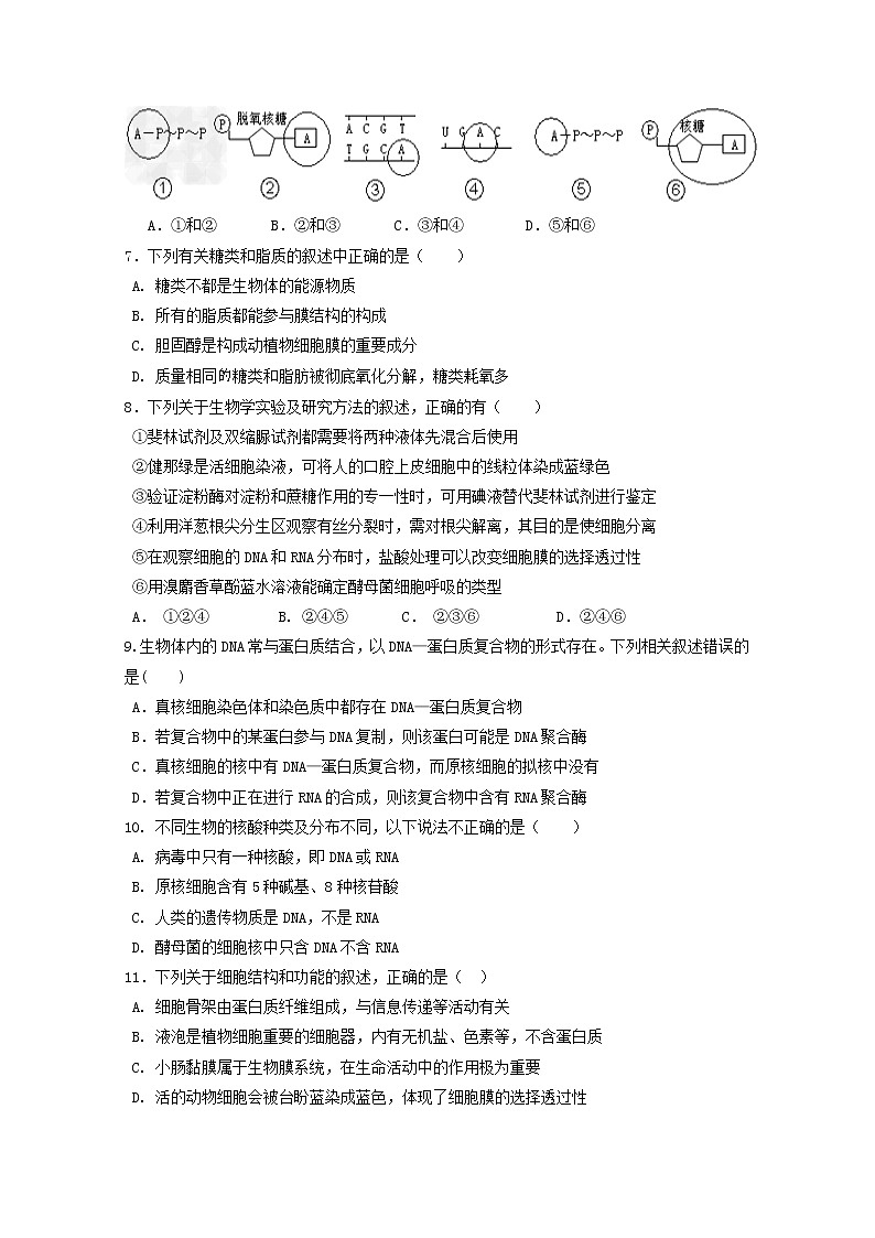 2021甘肃省嘉陵关市一中高三上学期三模考试生物试题含答案02