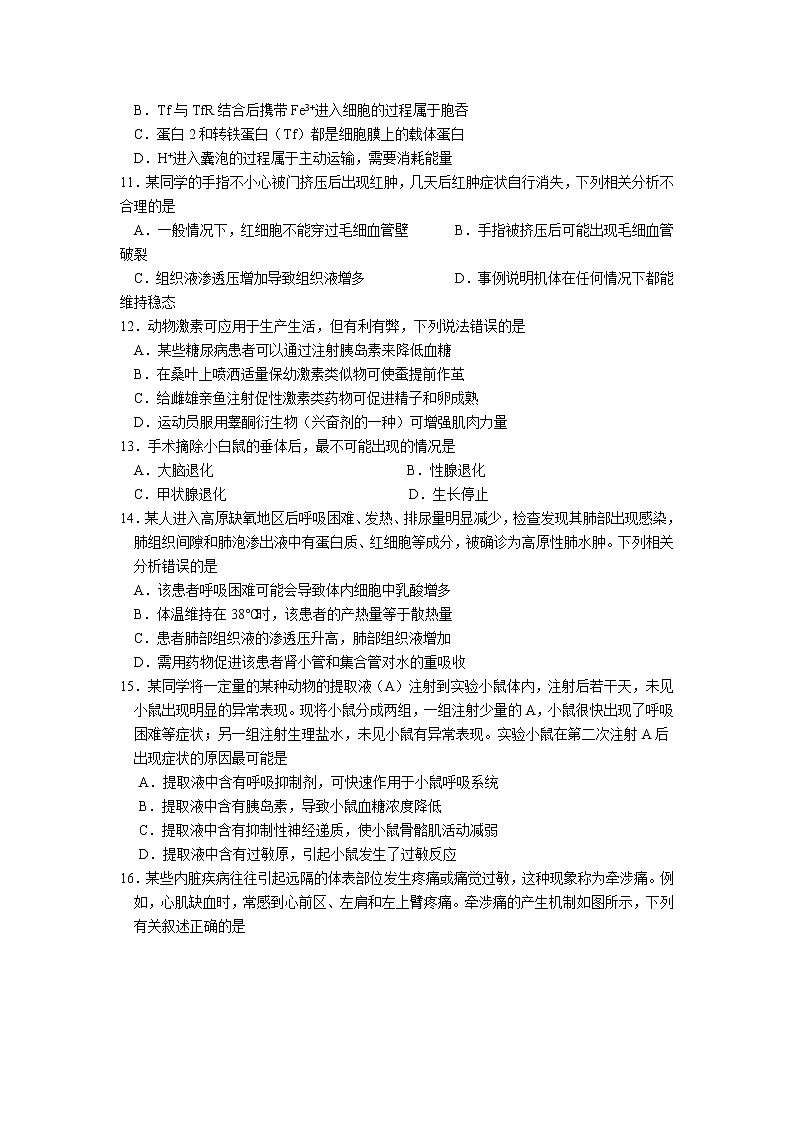 2022重庆市长寿川维中学校高三上学期8月适应性考试（二）生物试题含答案第3页