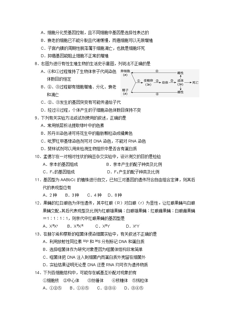 2022天津市蓟州区擂鼓台中学高三上学期入学测试生物试题含答案第2页