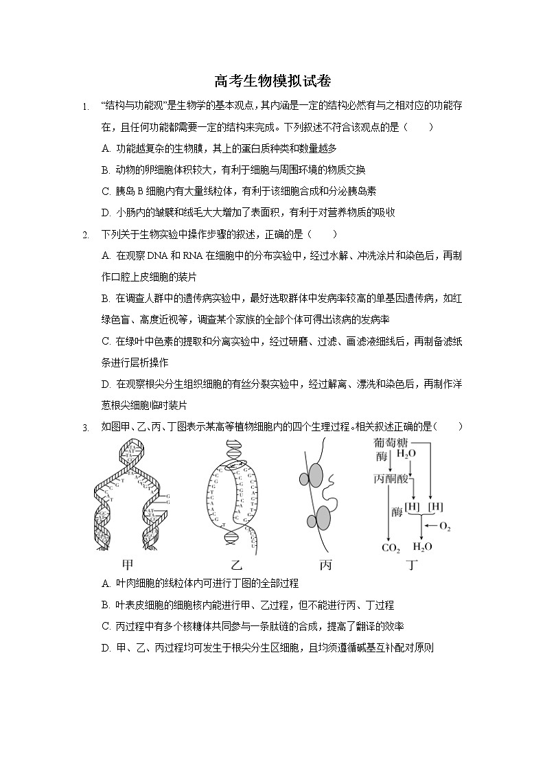 2022省双鸭山重点中学高三上学期9月高考模拟生物试题含答案第1页