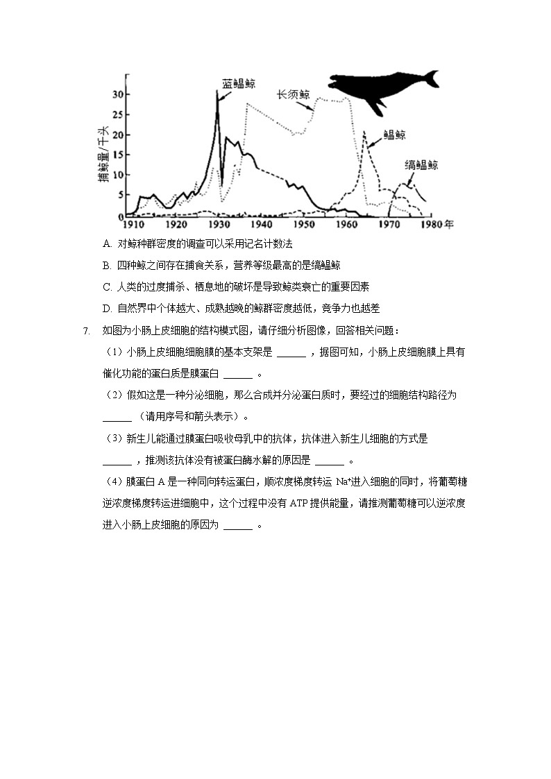 2022省双鸭山重点中学高三上学期9月高考模拟生物试题含答案第3页