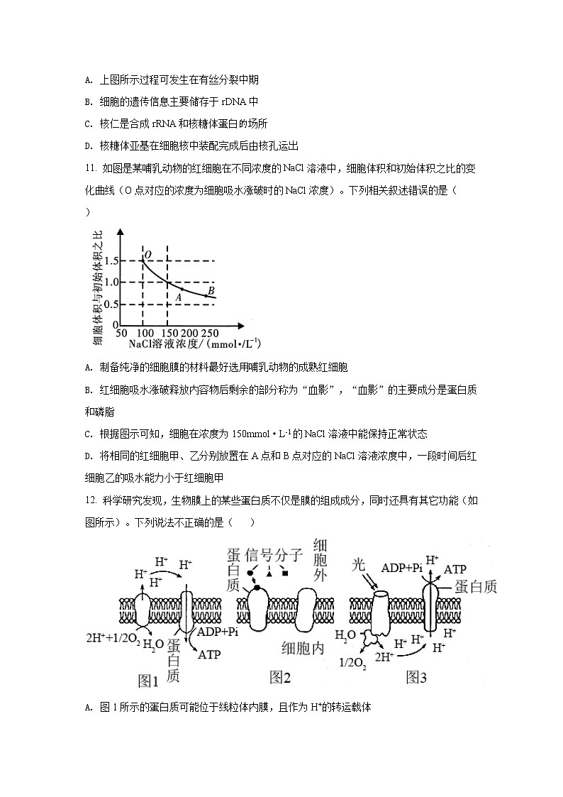 2022盐城伍佑中学高三上学期期初调研考试生物试题含解析第3页