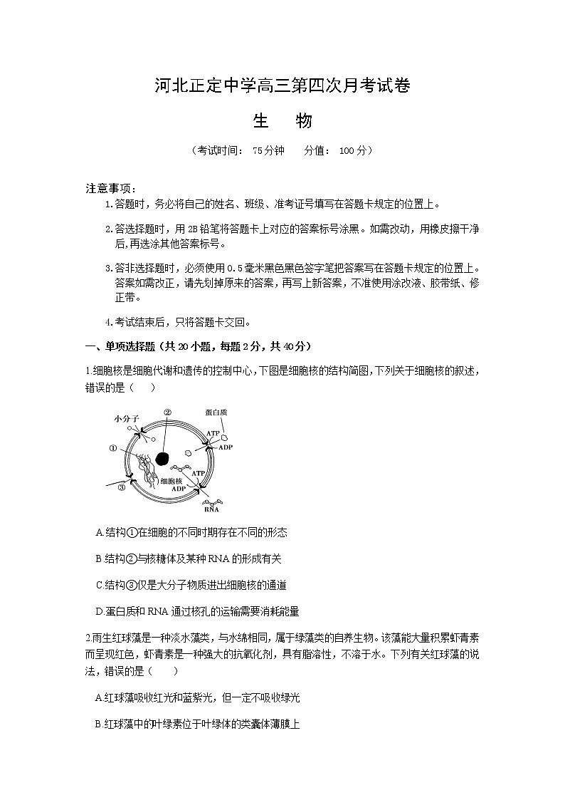 2021河北省正定中学高三上学期第四次月考生物试题含答案第1页