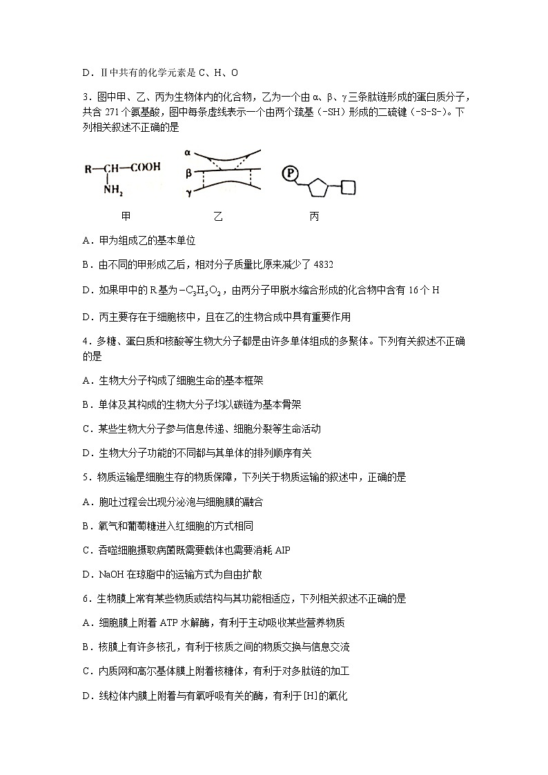 2022运城高三上学期入学摸底测试生物试题含答案02