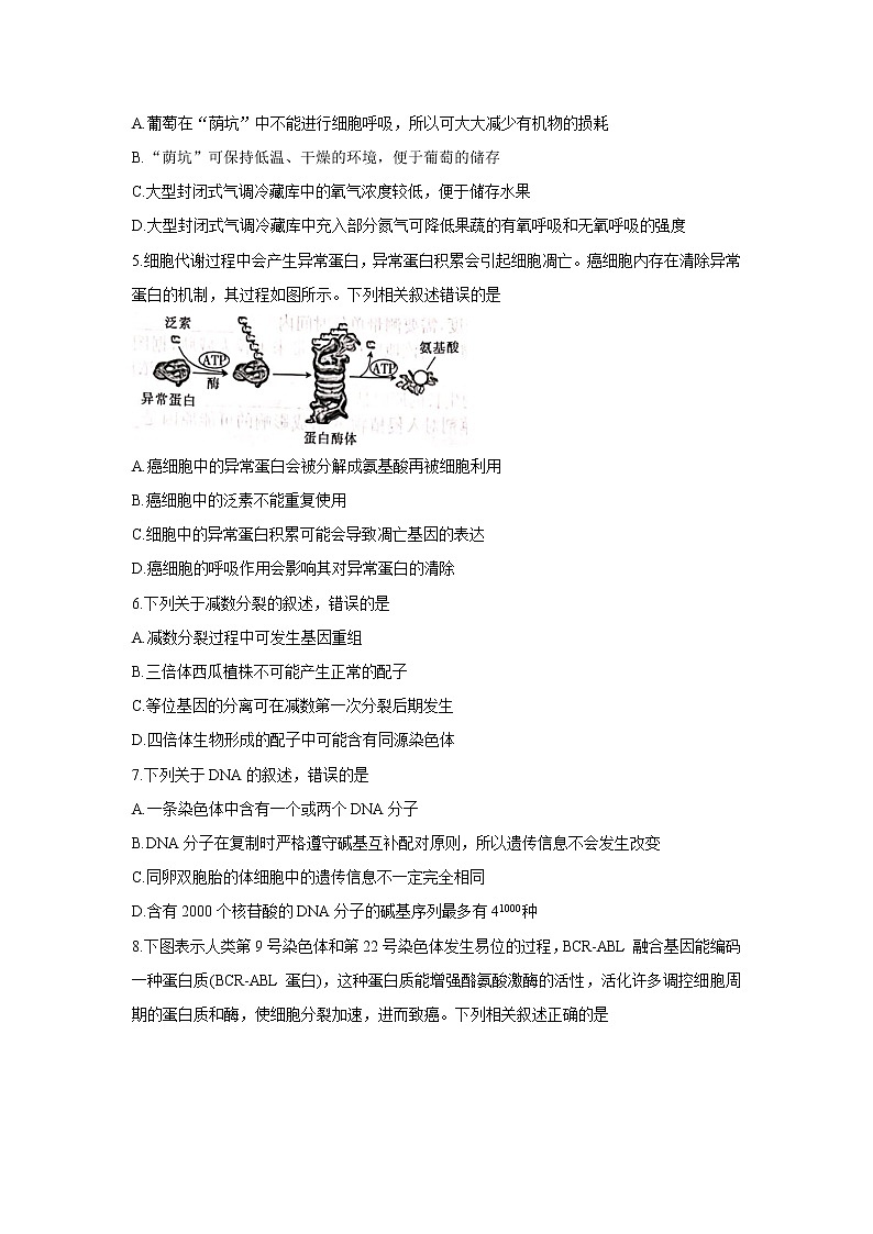 2022邢台高三上学期入学考试生物含答案第2页