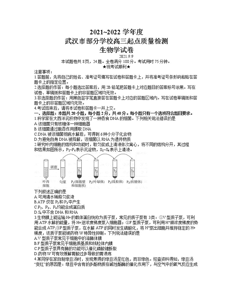 2022武汉部分学校高三上学期起点质量检测生物试题含答案01