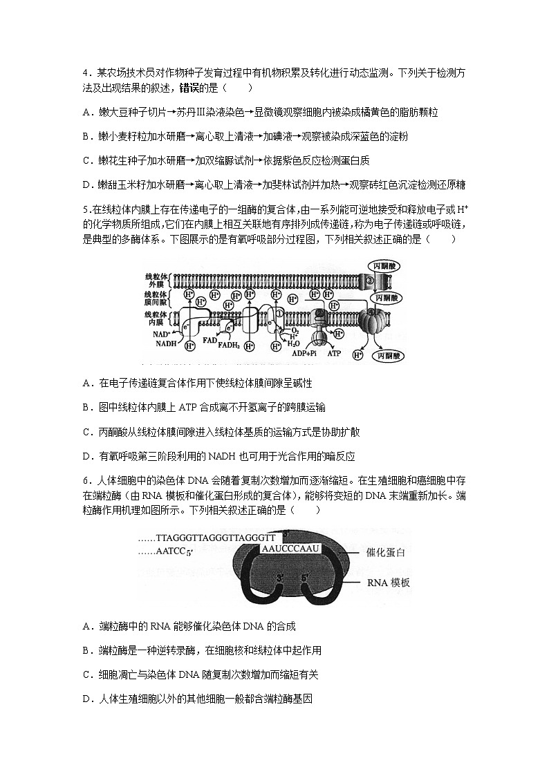 2022苏州高三上学期期初调研生物试题含答案02