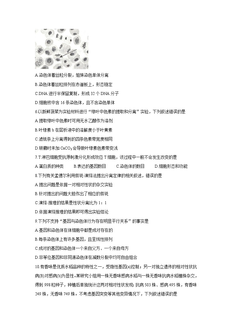 2022贵阳、黔南州高三上学期8月摸底联考生物含答案 试卷02